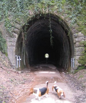 Cheddar Rail tunnel