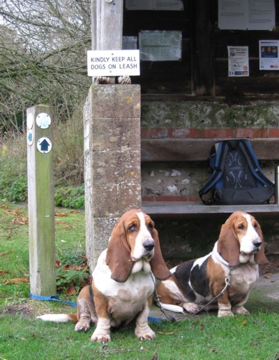 Up Cerne shelter