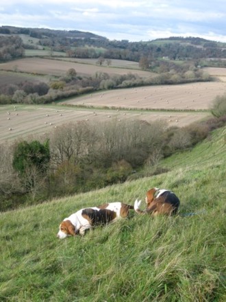 Descending Giants Hill