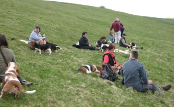 Bassets lunch