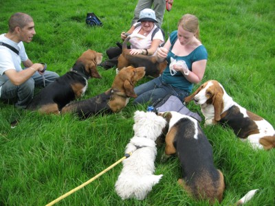 Rachel feeding hounds