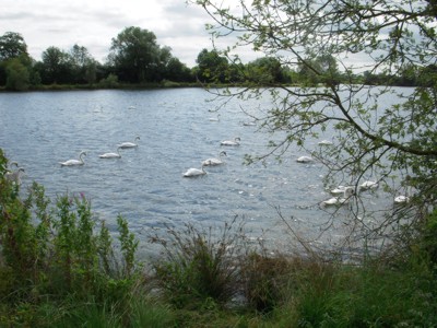 Cotswold Water Park