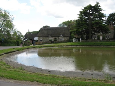 Ashmore duck pond