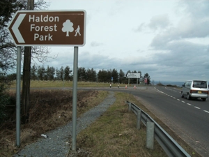 Haldon sign