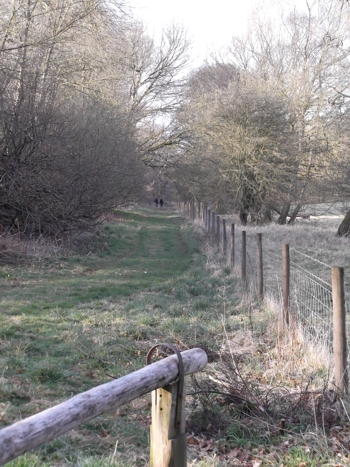 Savernake path