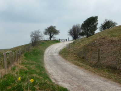 Road