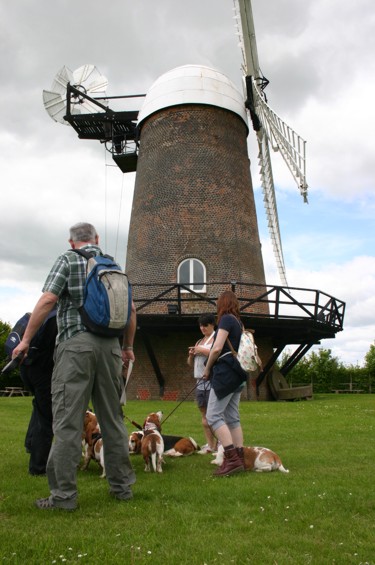 Windmill