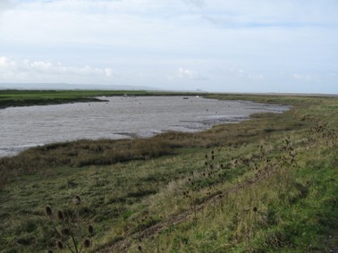 River Brue