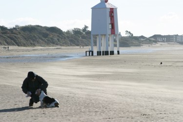 Berrow beach