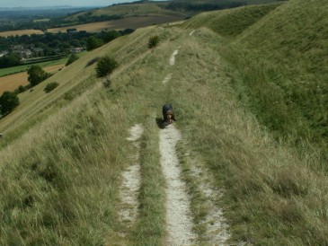 Along the ramparts