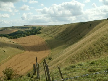 Combe Bottom