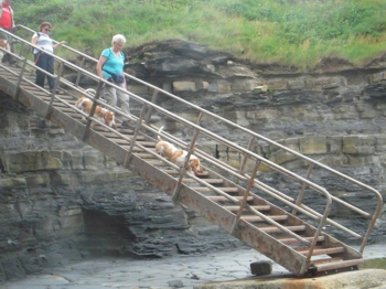 Kilve beach