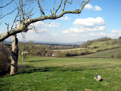 View of Taunton