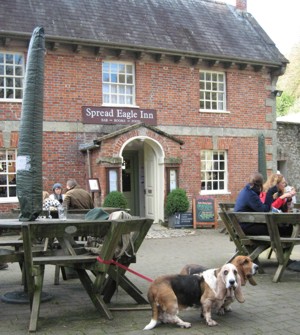 Dog walk at Alfred's Tower · Wiltshire · Walkiees