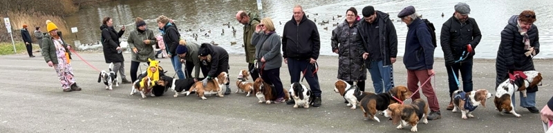 Bassets Burnham