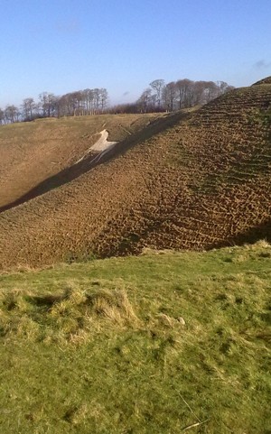 White Horse Cherhill