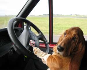 Mabel driver